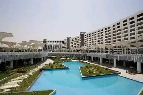 نيو بورتو كايرو